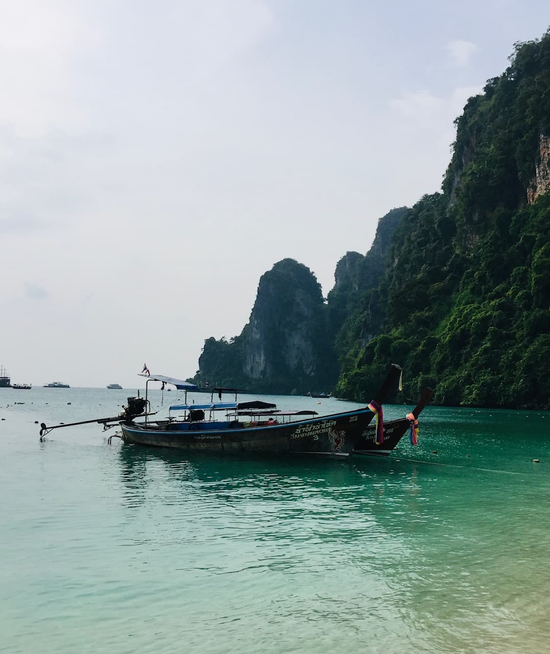 The coast by long-tail boat